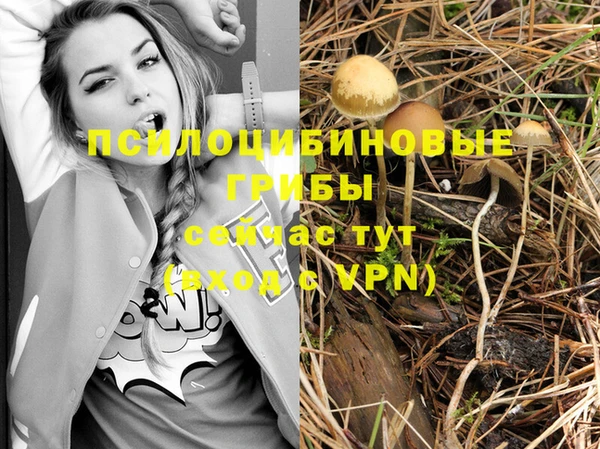 бутират Бородино