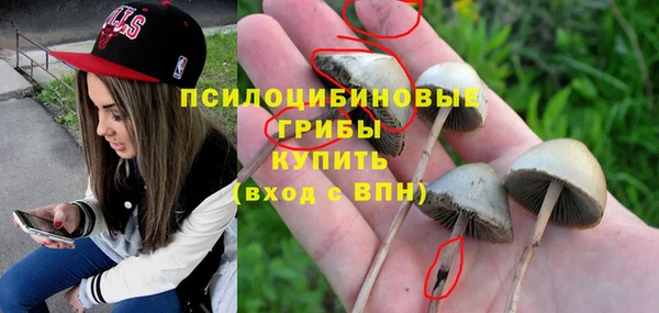 бутират Бородино